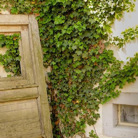 Ferienhaus Ehrenpreis Wißmannsdorf エクステリア 写真